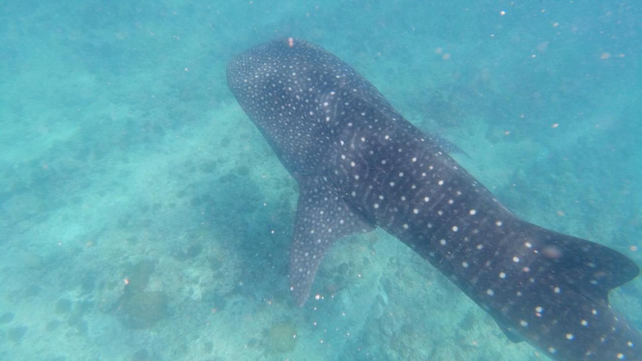 Dravida Hotel Maamigili Island Bagian luar foto