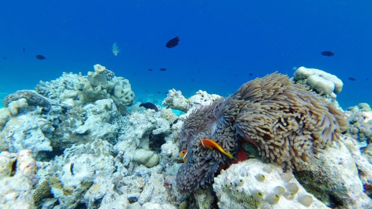 Dravida Hotel Maamigili Island Bagian luar foto