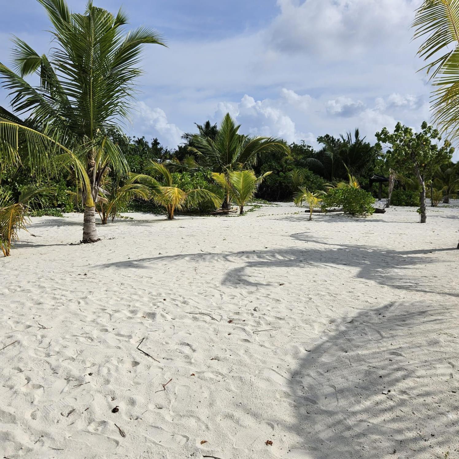 Dravida Hotel Maamigili Island Bagian luar foto