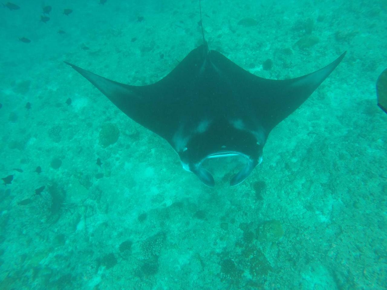 Dravida Hotel Maamigili Island Bagian luar foto